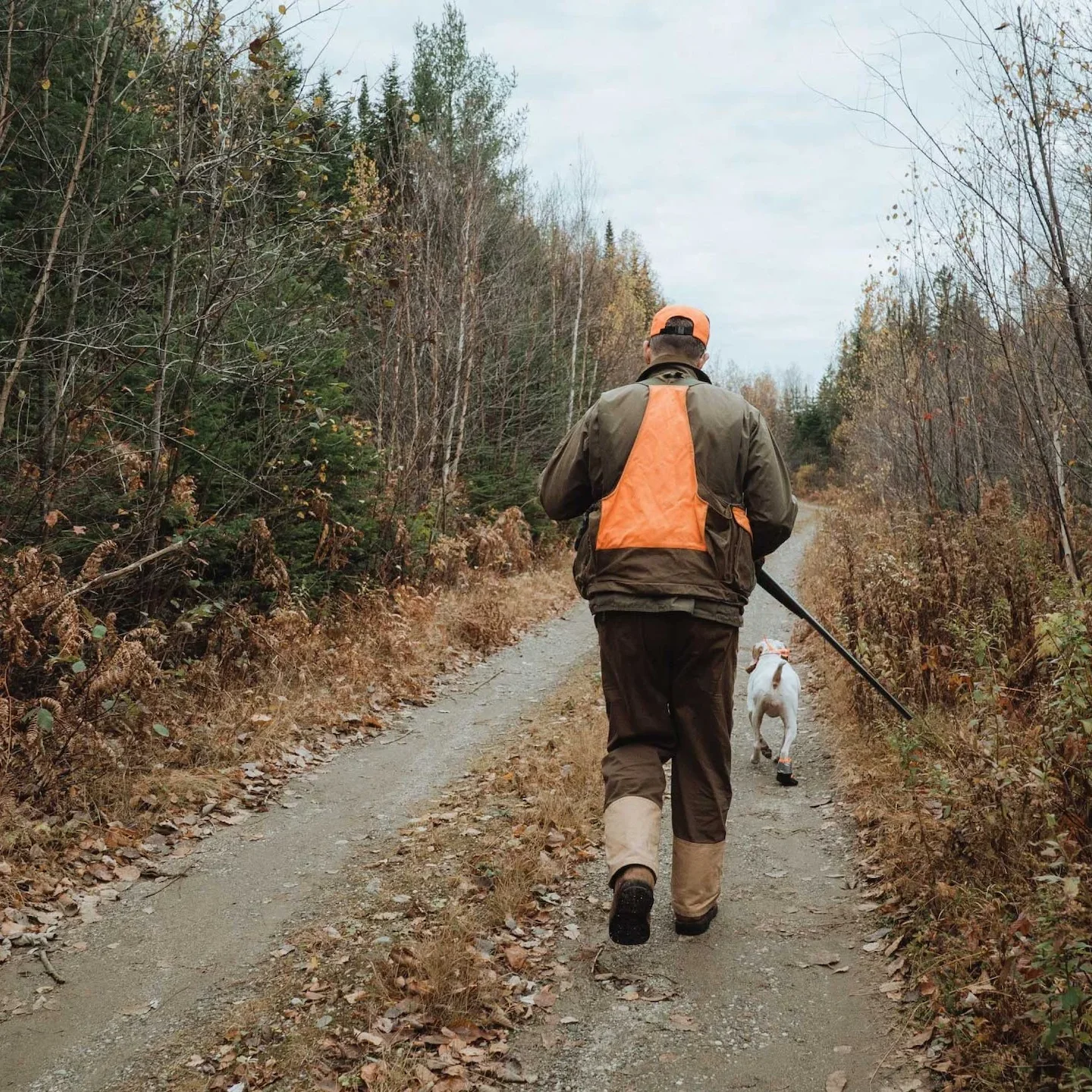 Huntsman: A New Look at Rural Britain’s Hunting Culture Through Cinema