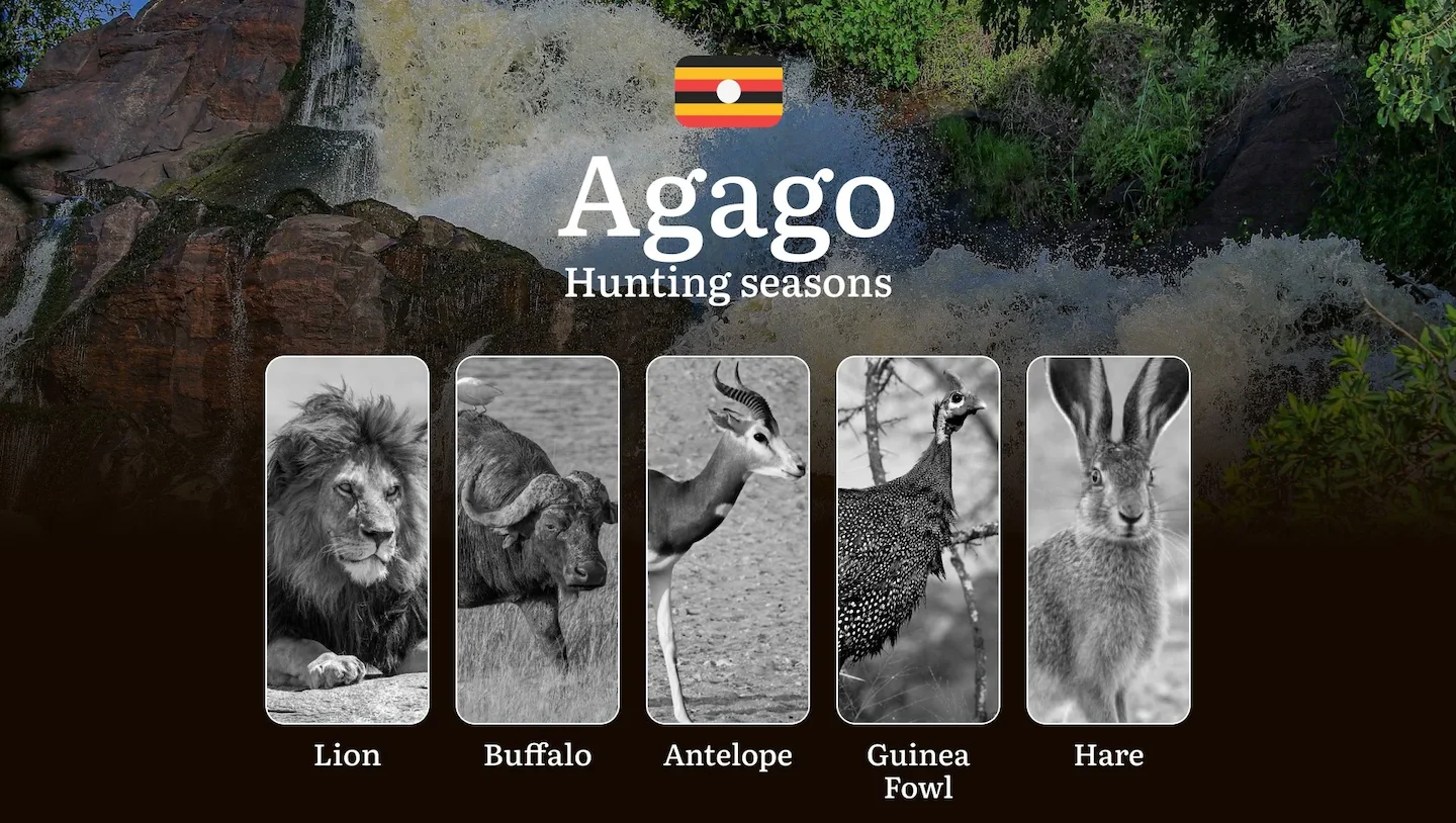 Seasonal Hunting Periods in Agago: Limits and Seasonal Prohibitions, Licensing Conditions, Fines and Legal Effects of No…