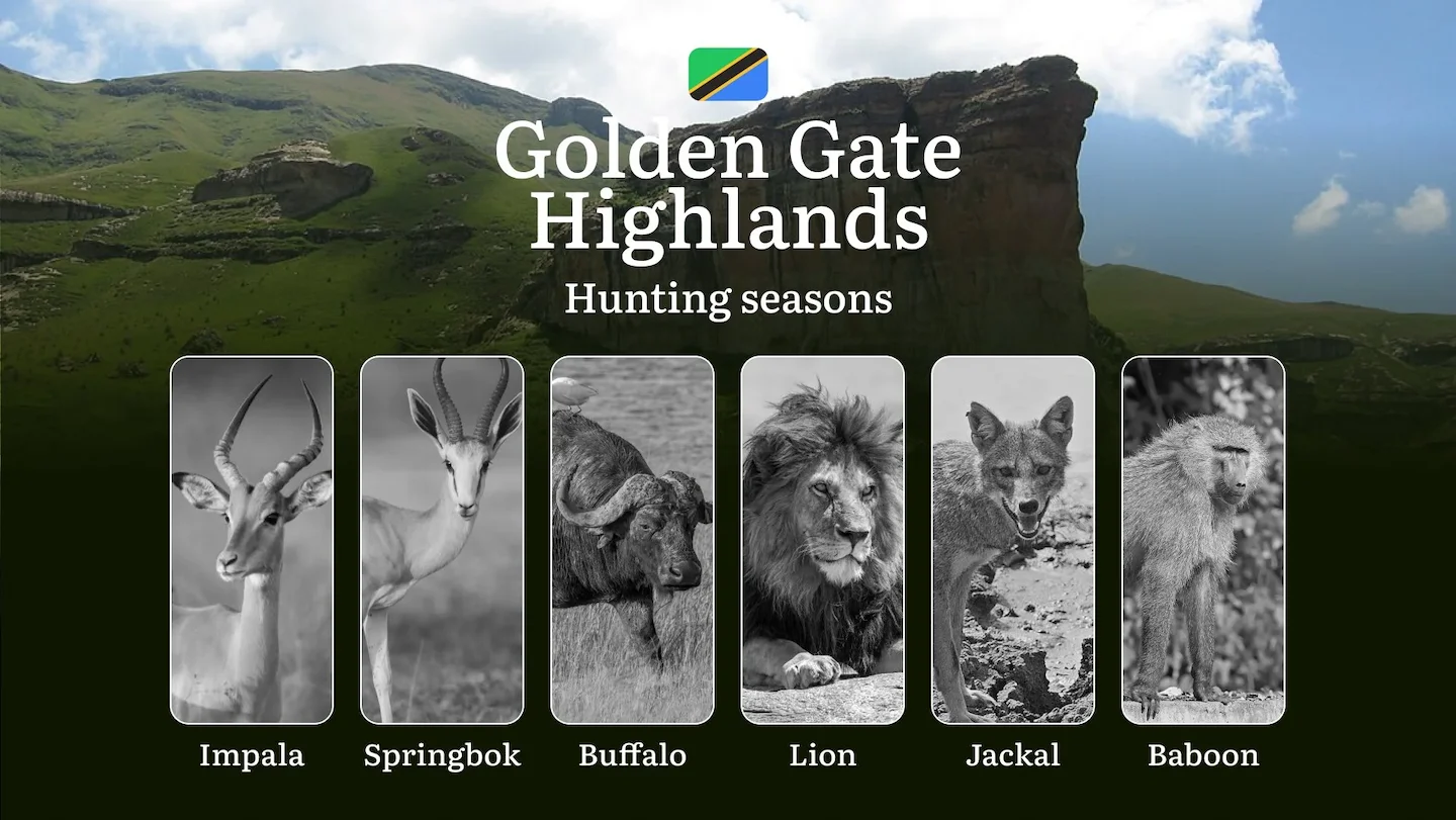 Seasons of Hunting in Golden Gate Highlands, South Africa: Seasonality of Hunting, Restrictions and Bans, Tips for Exper…