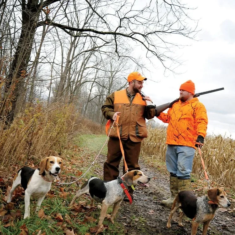 Hunting With Hounds in Northern Ireland: Why Evidence, Not Emotion, Should Shape the Debate