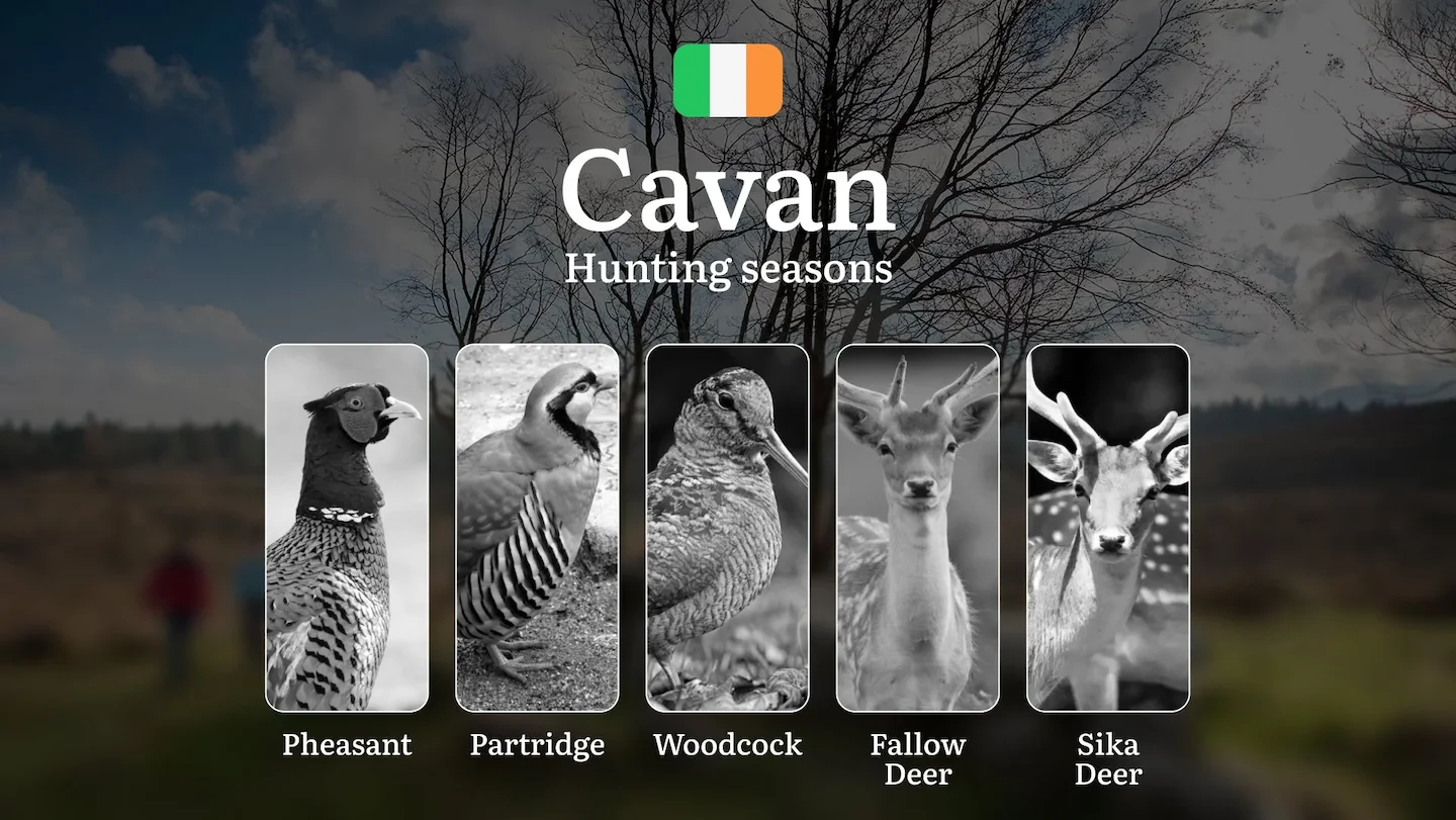 Nature’s Calendar: Mastering the Rhythms of Hunting Seasons, Migrations, and Estate Shoots in Rural CAVAN