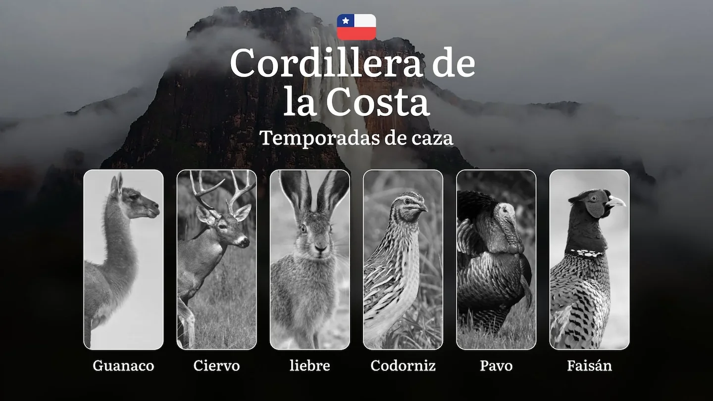 Temporadas de caza en la región de La Cordillera de la Costa (Chile): normas, fechas y particularidades de caza