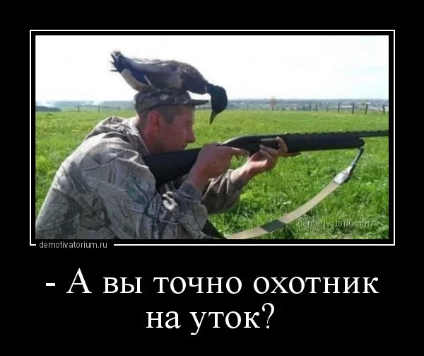 Охота дикая добавил(-а) 1 фото