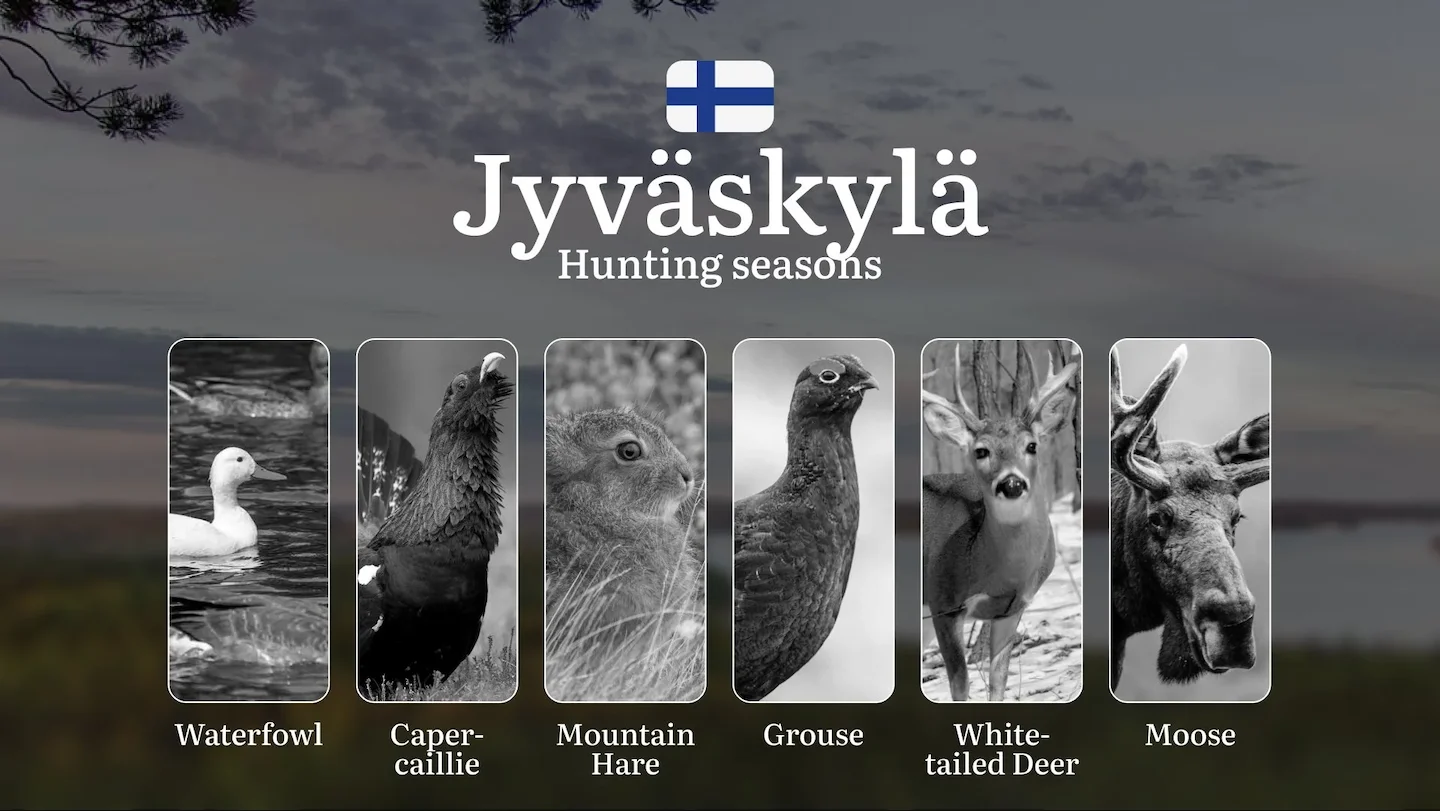 Hunting Seasons in JYVÄSKYLÄ: Main Hunting Periods, Modern Regulations, Required Documents and Practical Recommendations…