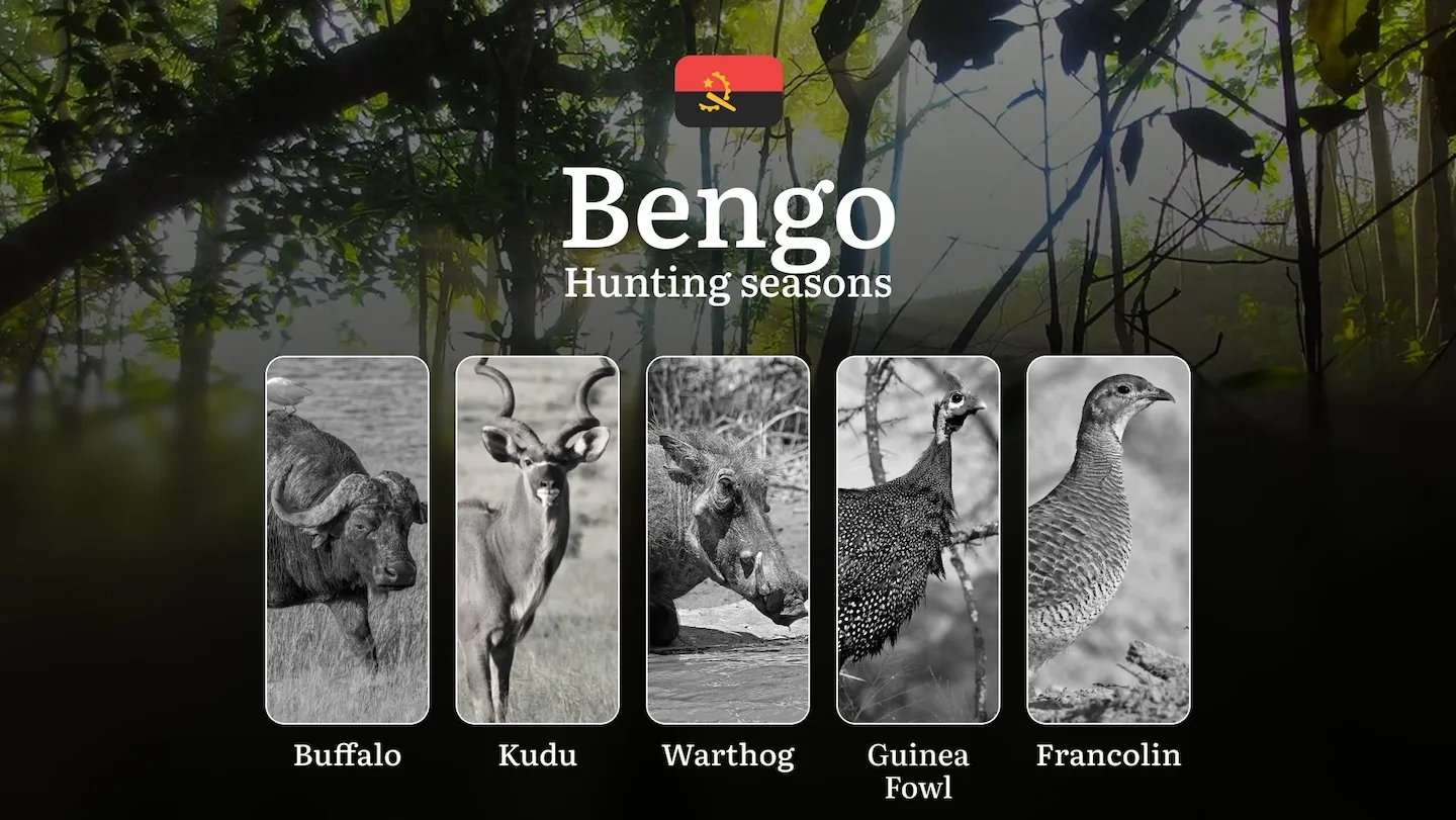 Hunting Laws and Seasons in Bengo: General Hunting Rules, Permits, Restrictions & Time-Honored Events