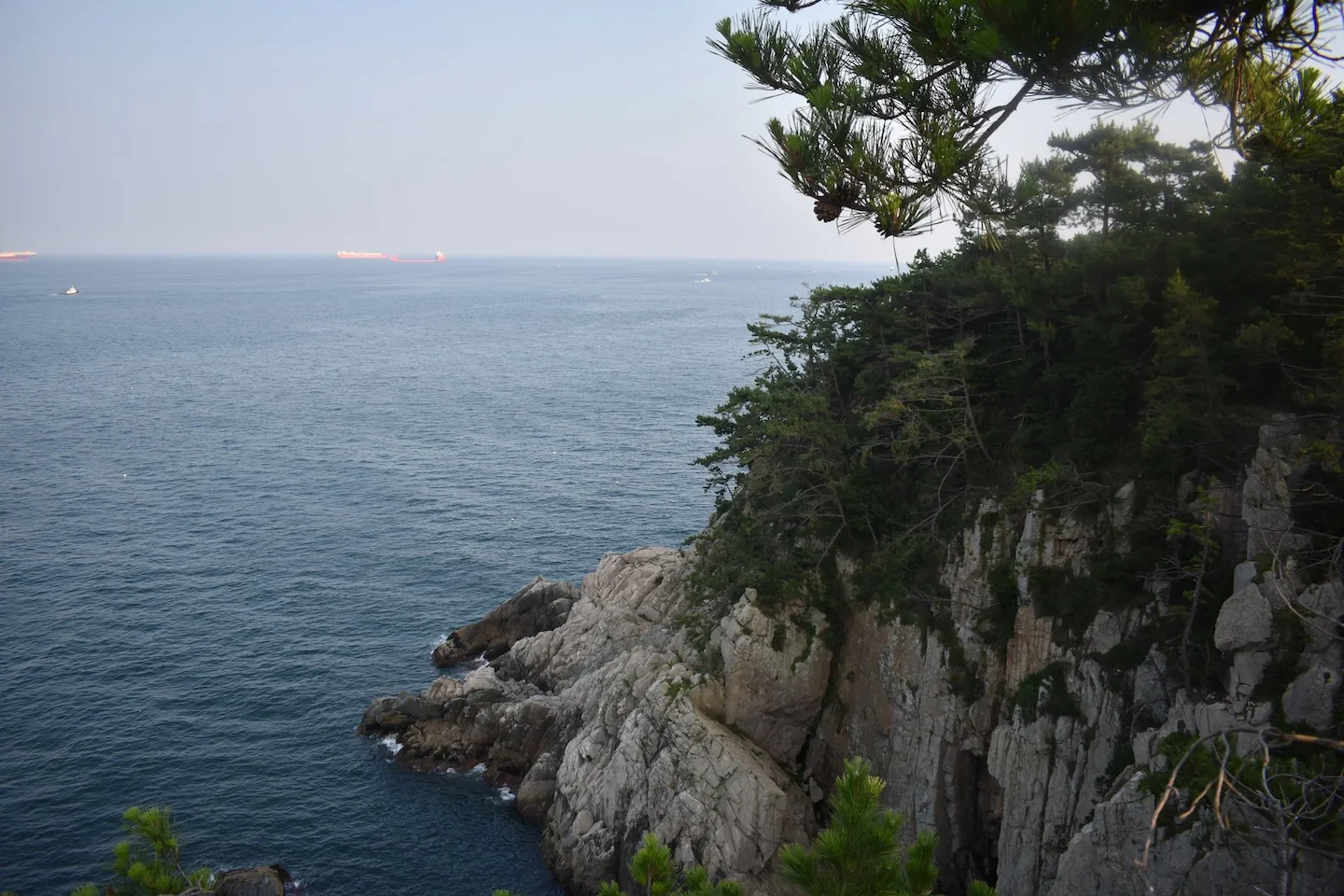 경상남도에서의 사냥: 자연, 전통, 그리고 현대의 도전