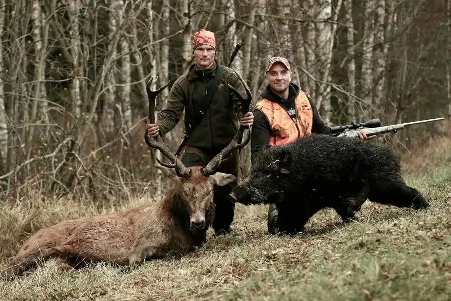 Urban Hunters on the Rise: Sweden Launches Critical Training for "Municipal Hunters"
