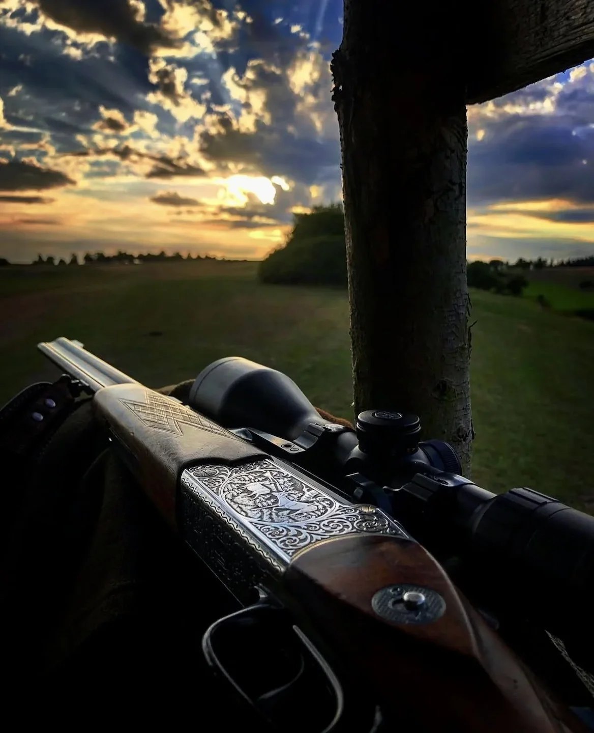 Blaser B750/88 Review: Specs, Calibers, Price & Hunting Performance Bergstutzen Rifle for Hunters and Marksmen.