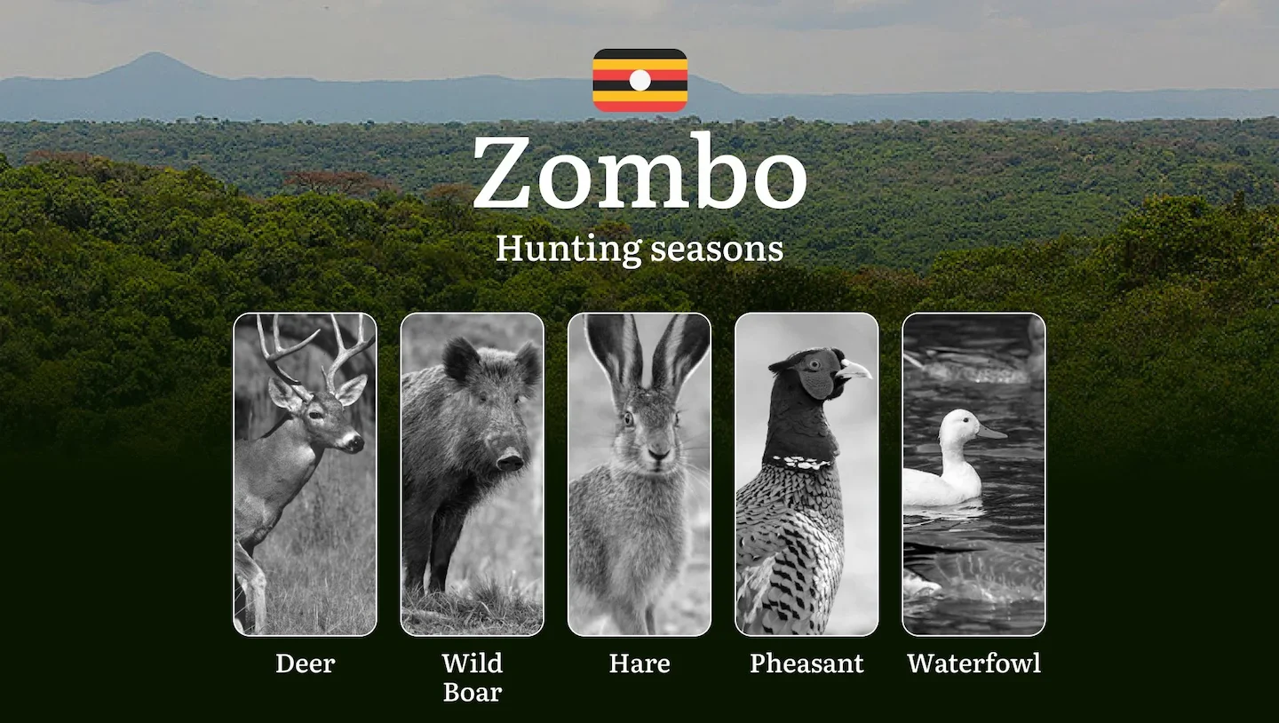 Permitted Hunting Intervals in Zombo: Year-Round Huntable Wildlife, Seasonal Migration of Game, and the Process for Secu…