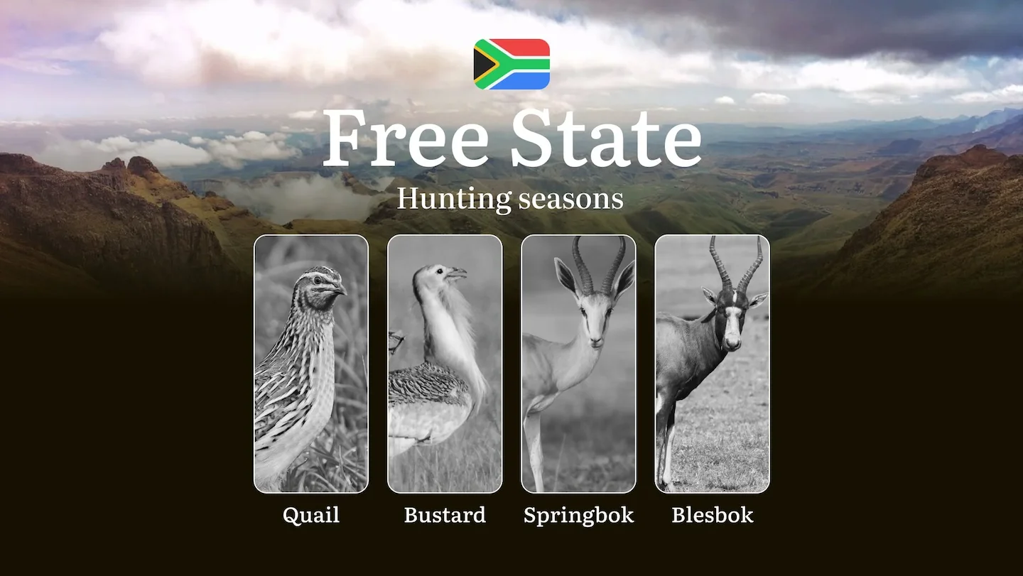 Hunting Seasons in South Africa, Free State Province: Dates and Seasons of Hunting, Tips and Tactics for Planning Your H…