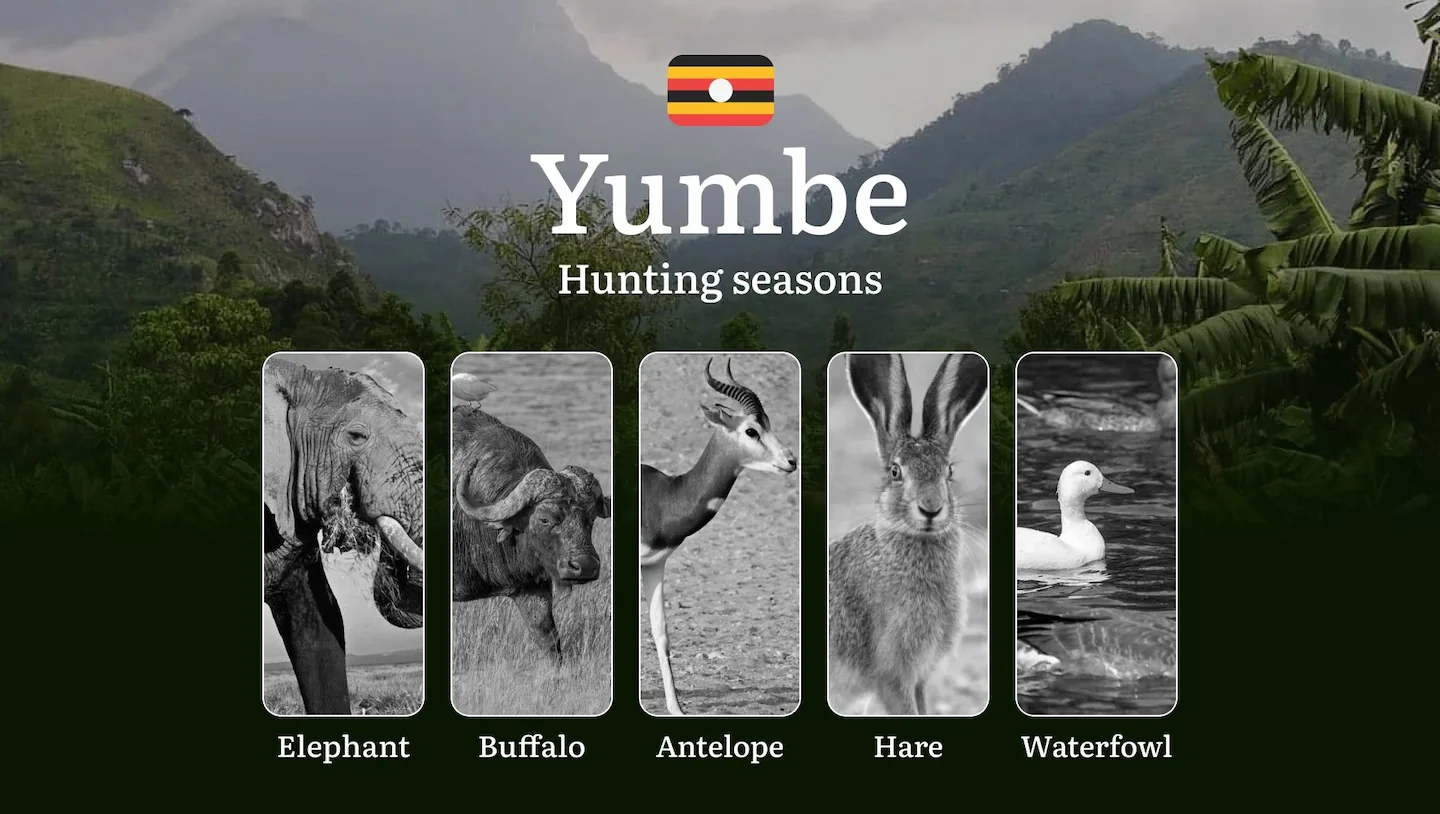 Hunting Access Dates in Yumbe: Key Hunting Periods for All Species, Restricted Areas, Rules and Exceptions, Getting Your…