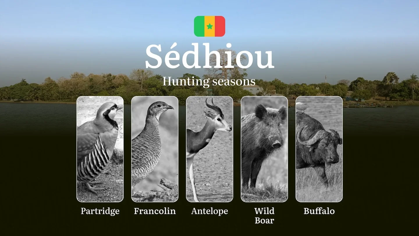 Dates of Hunting in Senegal: Seasons, Natural Features of the SÉDHIOU Region, Responsibility for Violating Hunting, Tips…