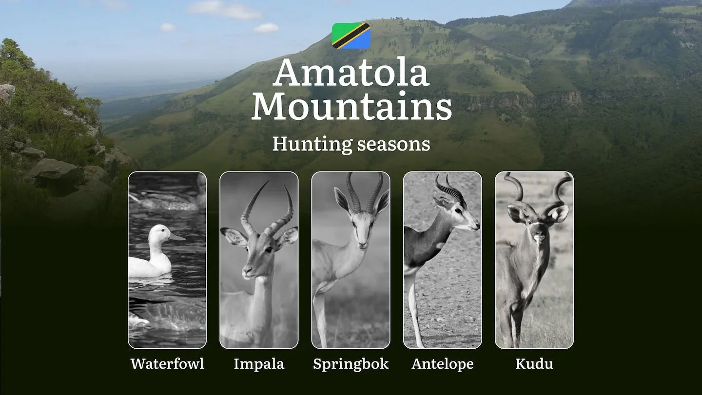 Hunting Seasons in the Amatola Mountains, South Africa: Hunting Periods, Licenses, Rules, and Tips and Tactics for Hunte…
