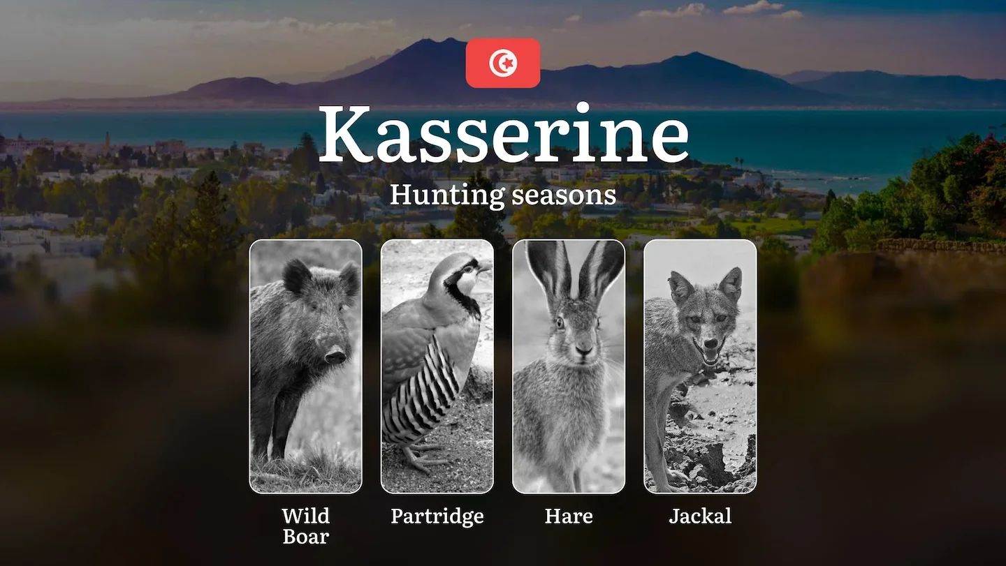 Hunting Seasons in KASSERINE: Seasonal Timing, Game Behavior, Protected Species, Permit Requirements, Crucial Regulation…