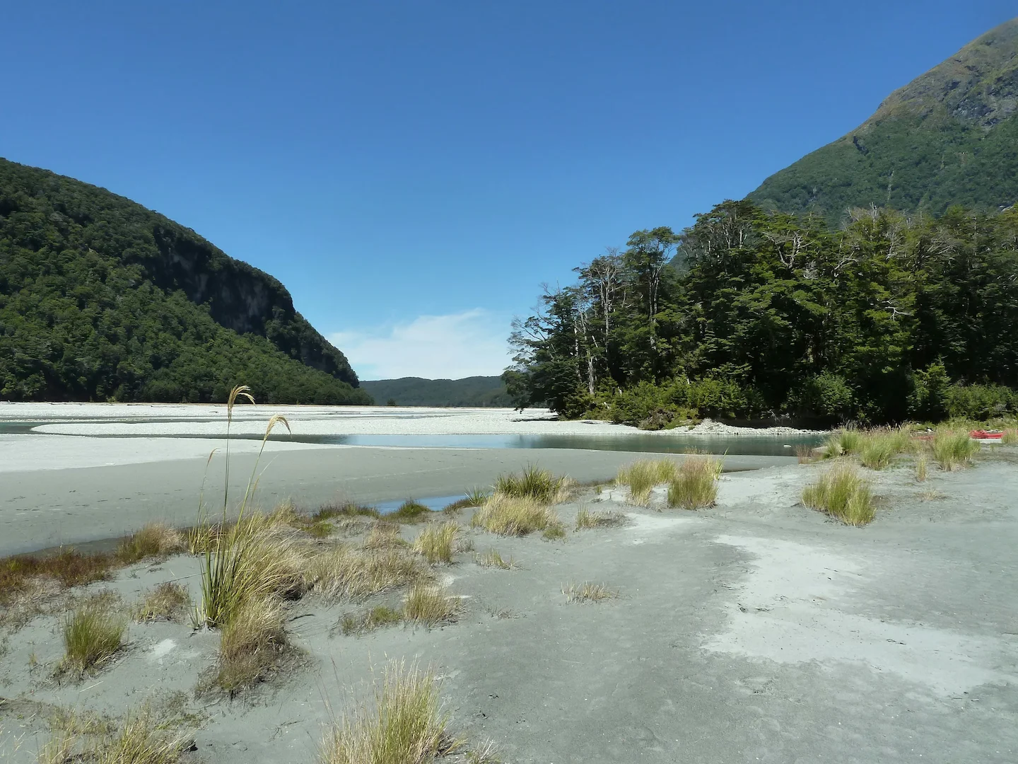 Hunting alliances and groups, varieties of animals, legislation and seasons in Kahurangi National Park: the secrets of s…