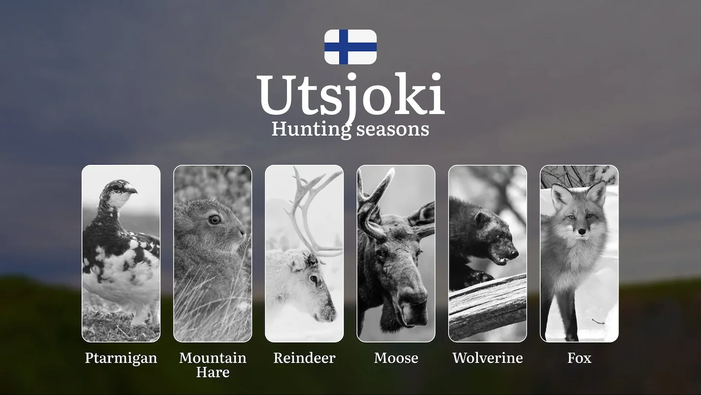 Hunting Seasons in UTSJOKI: Optimal Periods, Licensing Requirements, General Regulations, Restrictions and Prohibitions