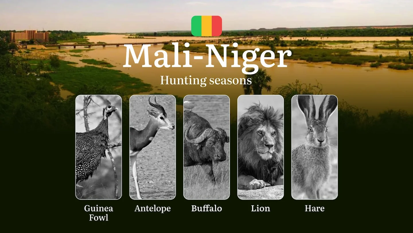 Hunting Dates in Mali-Niger: Hunting Seasons, Temporary Restrictions, Permit Regulations, Penalties and Legal Ramificati…