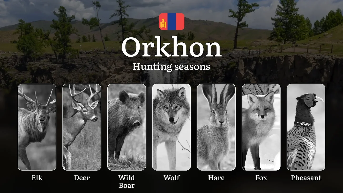 Hunting Dates in Orkhon Province: Seasonality of Hunting, Timing and Regulations, Hunting Permits, Restrictions and Proh…