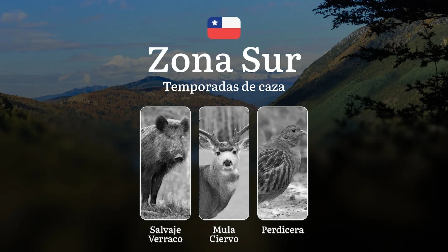 Fechas de caza en Chile, La Zona Sur: épocas, licencias y consejos para cazadores, reglas y fechas de caza, restriccione…