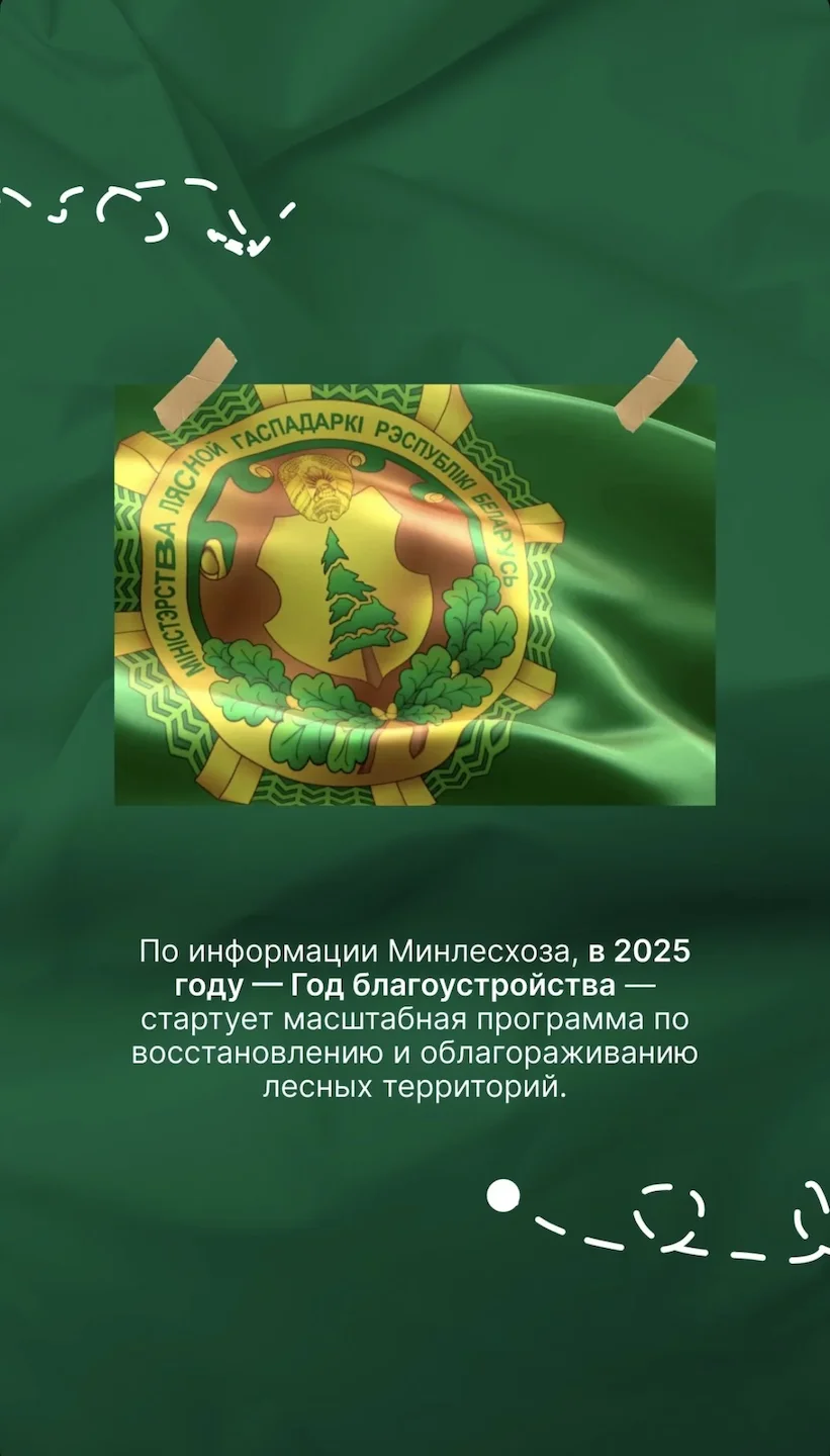 По информации Минлесхоза, в 2025 году — Год благоустройства - стартует масштабная программа по восстановлению и облагораживанию лесных территорий.
