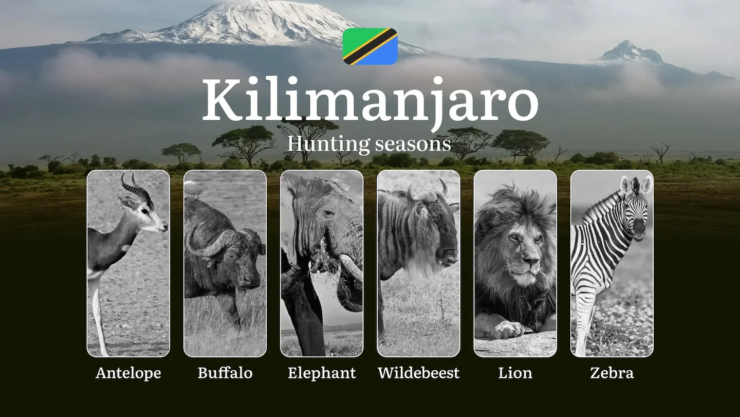 Kilimanjaro: Official Hunting Dates, Regulatory Limits and Seasonal Prohibitions, Licensing Rules, Fines and Legal Penal…