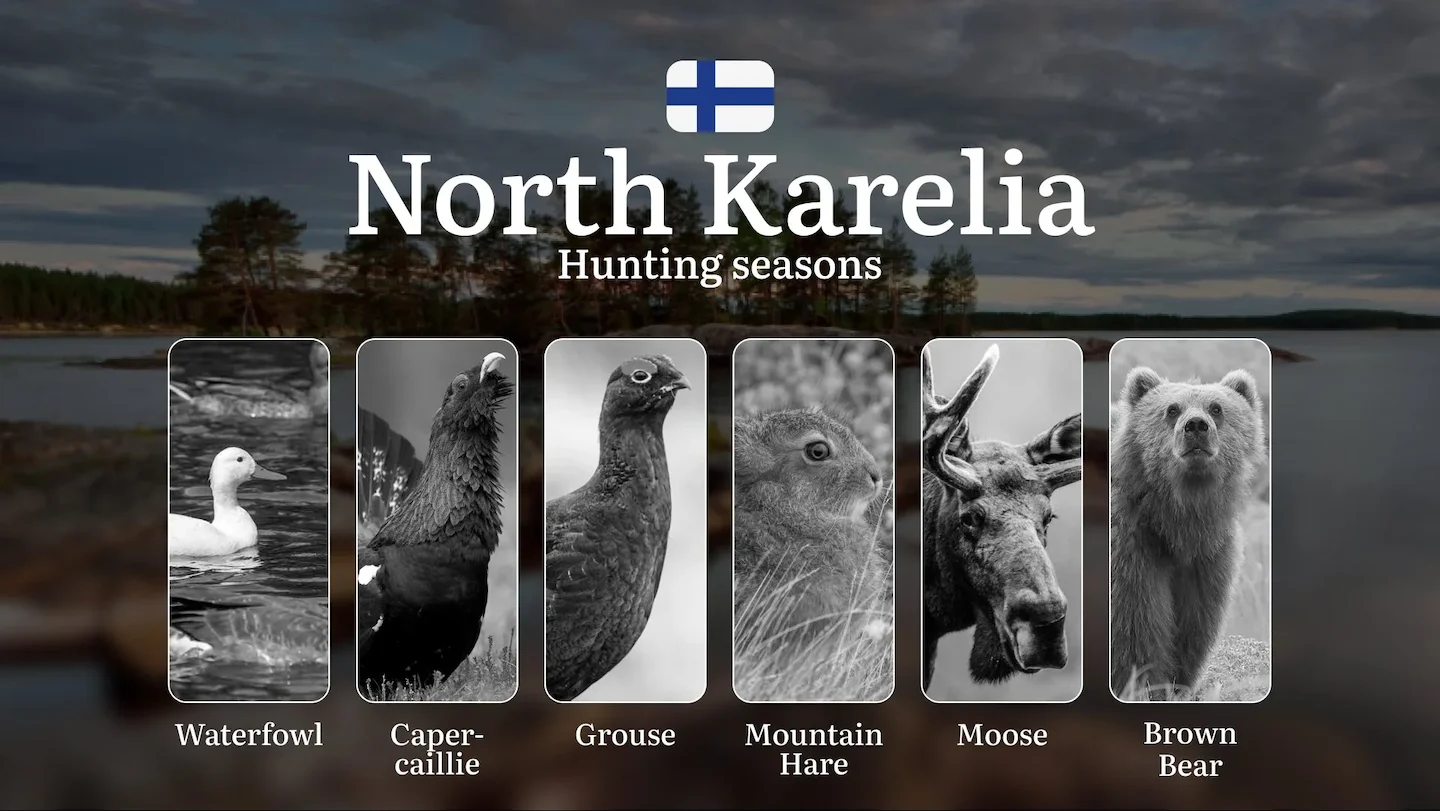 Hunting Seasons in NORTH KARELIA: Season Dates, Protected Species, Permit Requirements, Crucial Regulations and Penaltie…