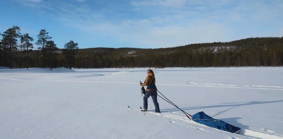 Metsähallitus Cracks Down on Unlicensed Tour Operators in Lapland: What Hunters & Guides Must Know (March 2026)