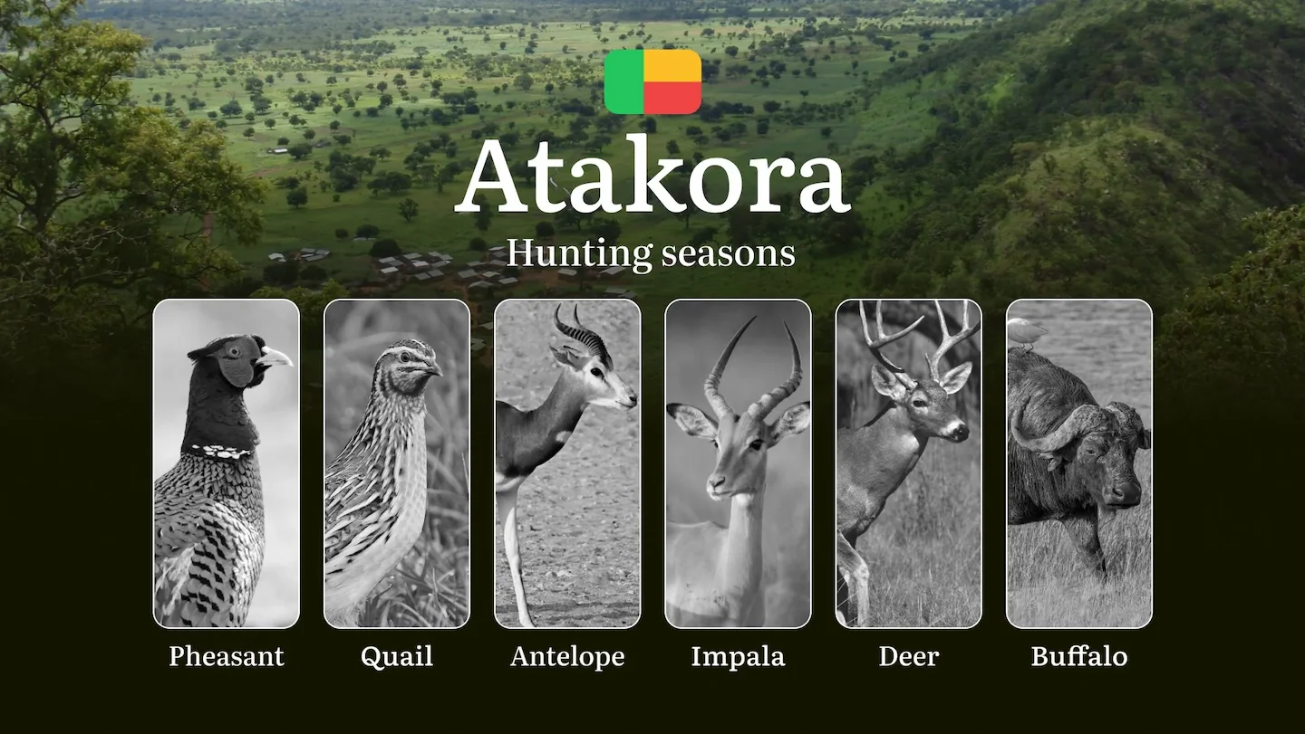 Hunting Dates in Benin’s ATAKORA Region: Hunting Seasons, Opening and Closing Dates, Licenses, Rules and Periods for Hun…