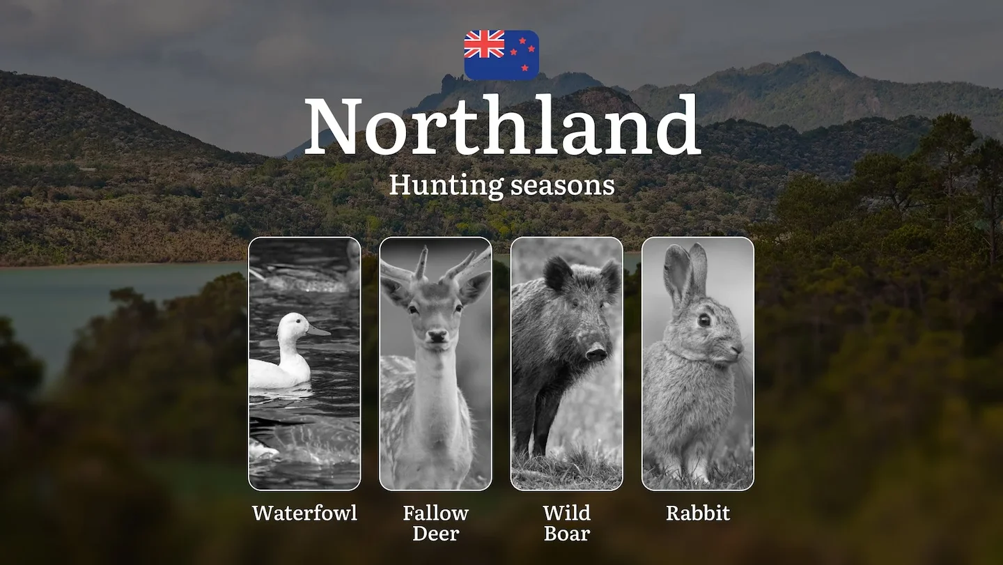 Hunting Seasons in NORTHLAND, New Zealand: Penalties for Violating Hunting Rules and Seasons, Bans and Restrictions