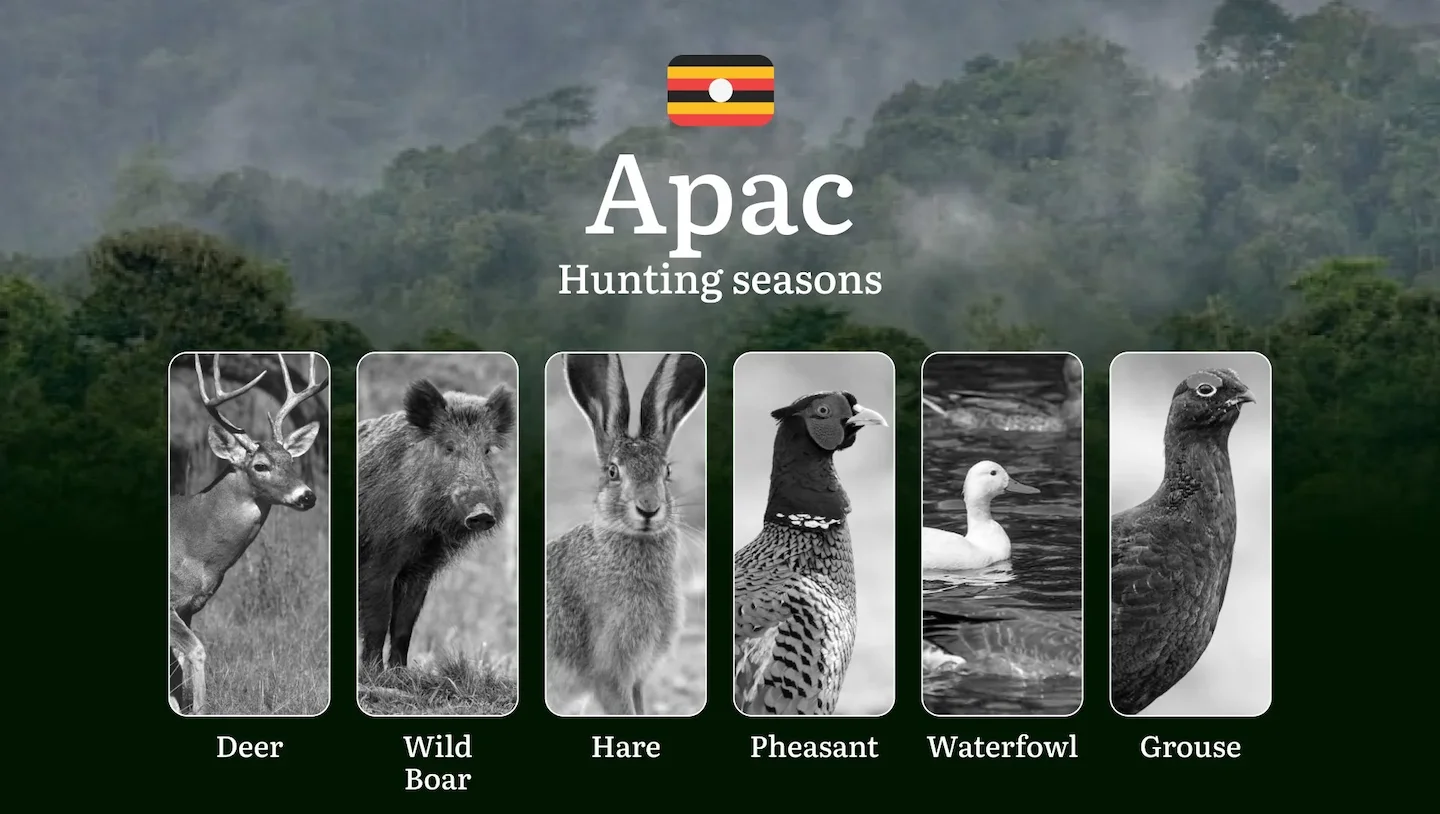 Scheduled Hunting Times in Apac: Area Regulations, Steps to Obtain a Hunting License, Sanctions for Breaching Hunting Pe…