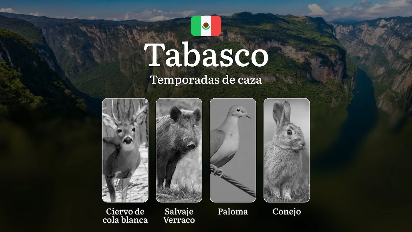 Temporadas y períodos de Caza en Tabasco: Normativas, Especies y Épocas para la Práctica Cinegética en la Región