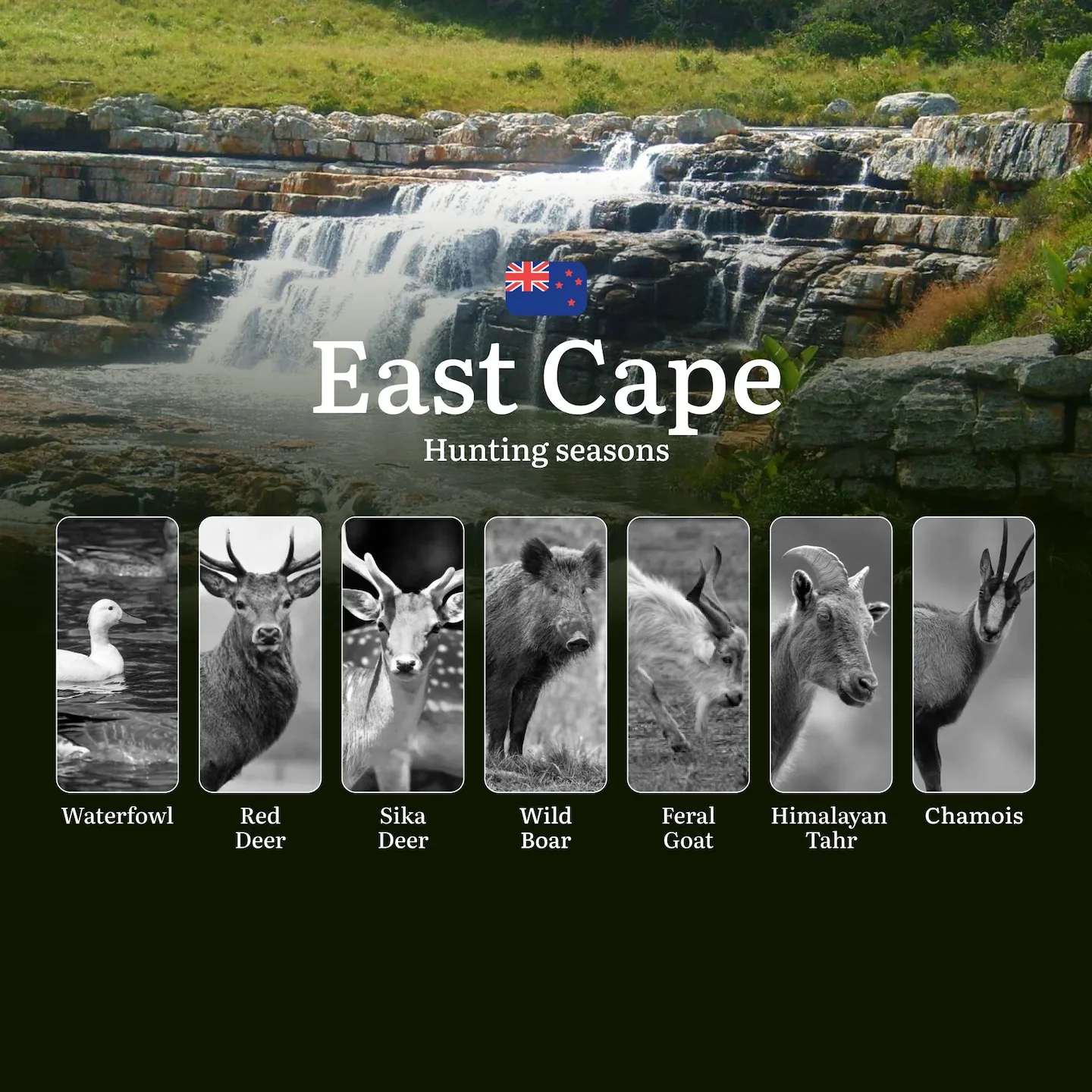 EAST CAPE Hunting: Seasons, Rules, and Best Times for Trophies, Tips on Choosing Time, Gear, and Tactics
