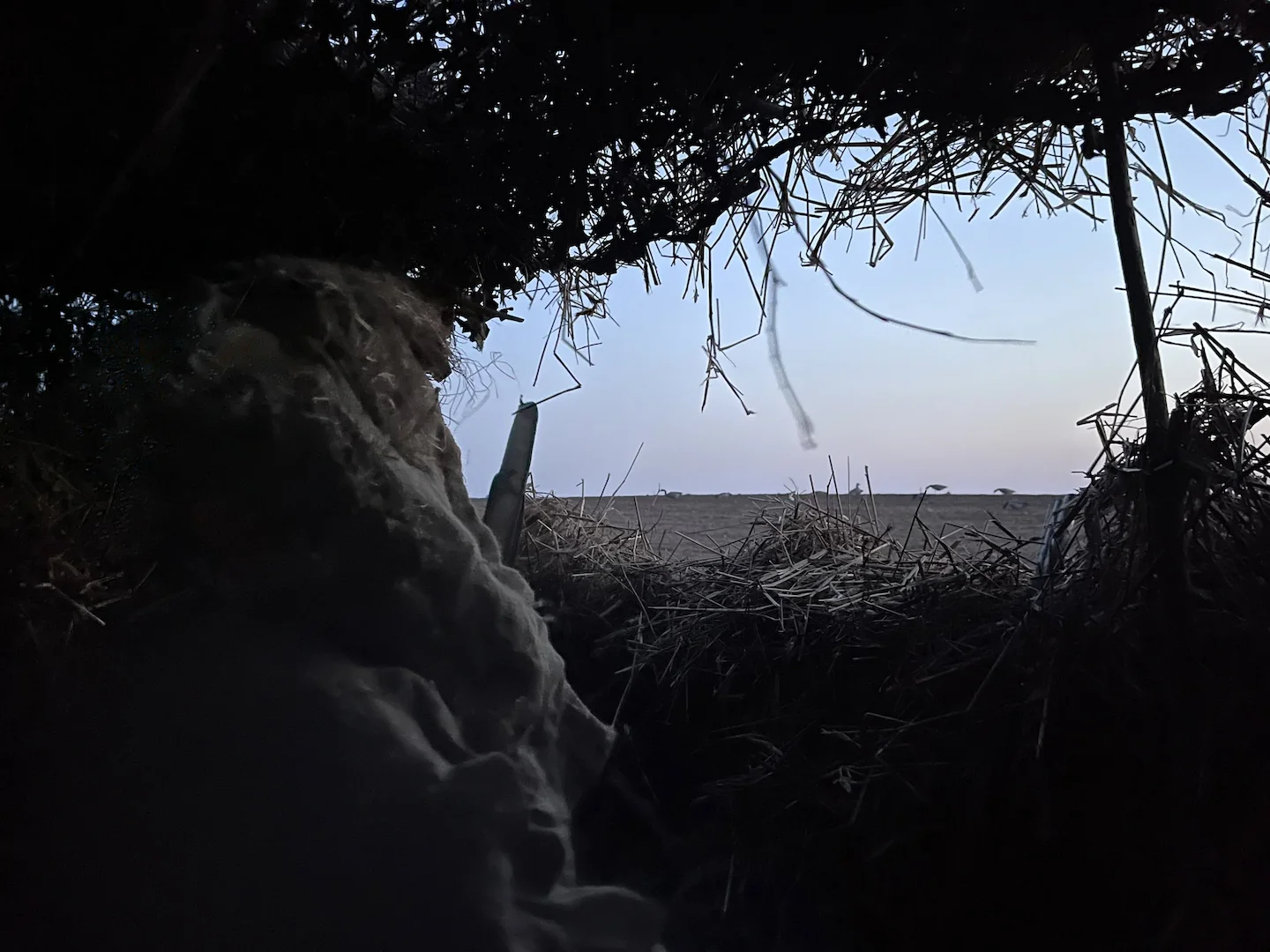 Deer Hunting Tips & Strategies []
