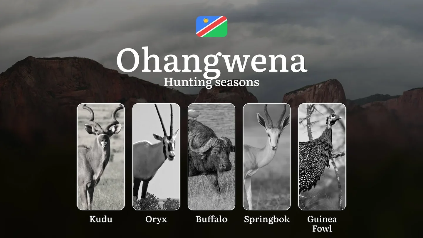 Hunting Access Dates in Ohangwena, Namibia: Legal Seasons, Licensing, Penalties, Planning, and Expert Tips