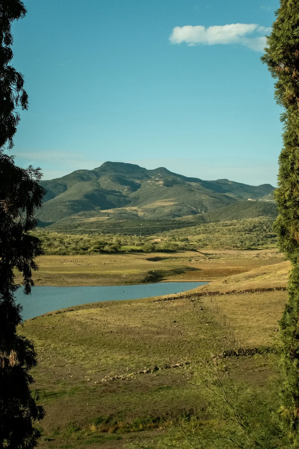 Caza en la región de la Cordillera de la Costa: varios formatos de caza, el calendario del cazador, hechos sorprendentes…
