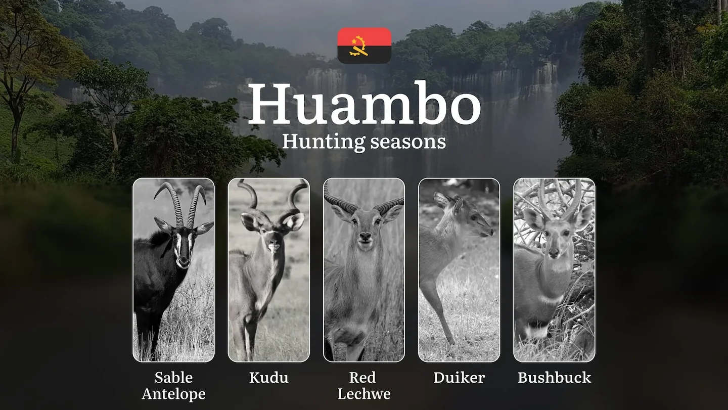 Hunting in Huambo: Understanding Hunting Calendar, Legal Permits and Restrictions, Local Hunting Traditions