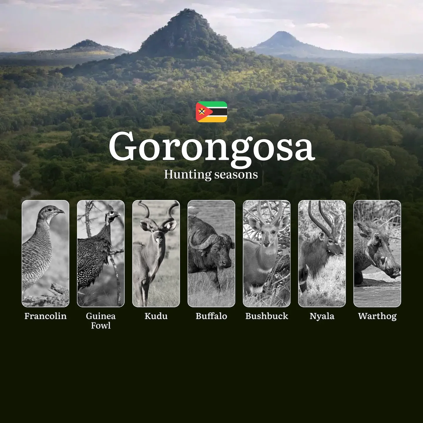 The Gorongosa Hunting Calendar: Balancing Conservation, Tradition, and Regulation in a Region Reborn Through Wildlife Re…