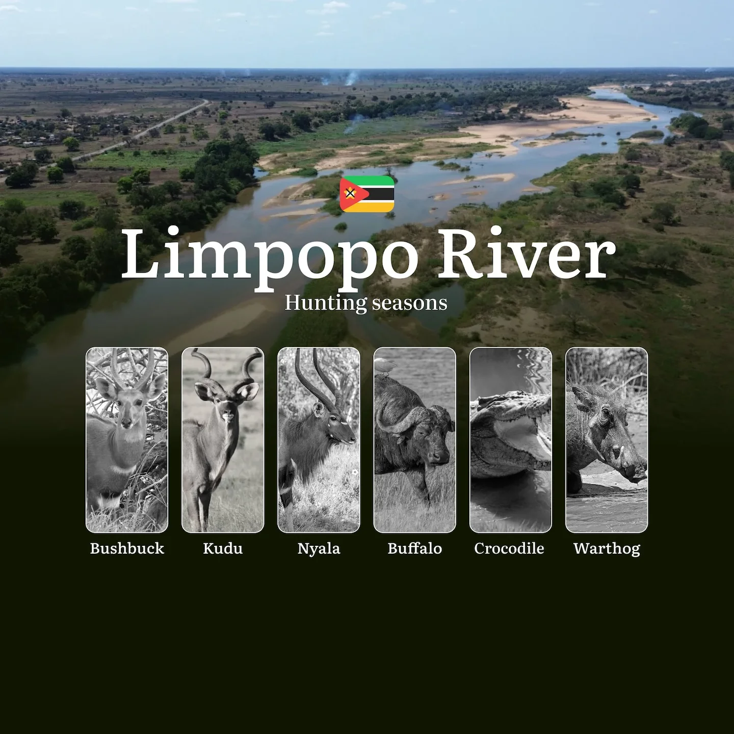 From Buffalo Thunder to Bird Feathers: Decoding the Perfect Hunting Calendar in Mozambique's Limpopo River Wilderness
