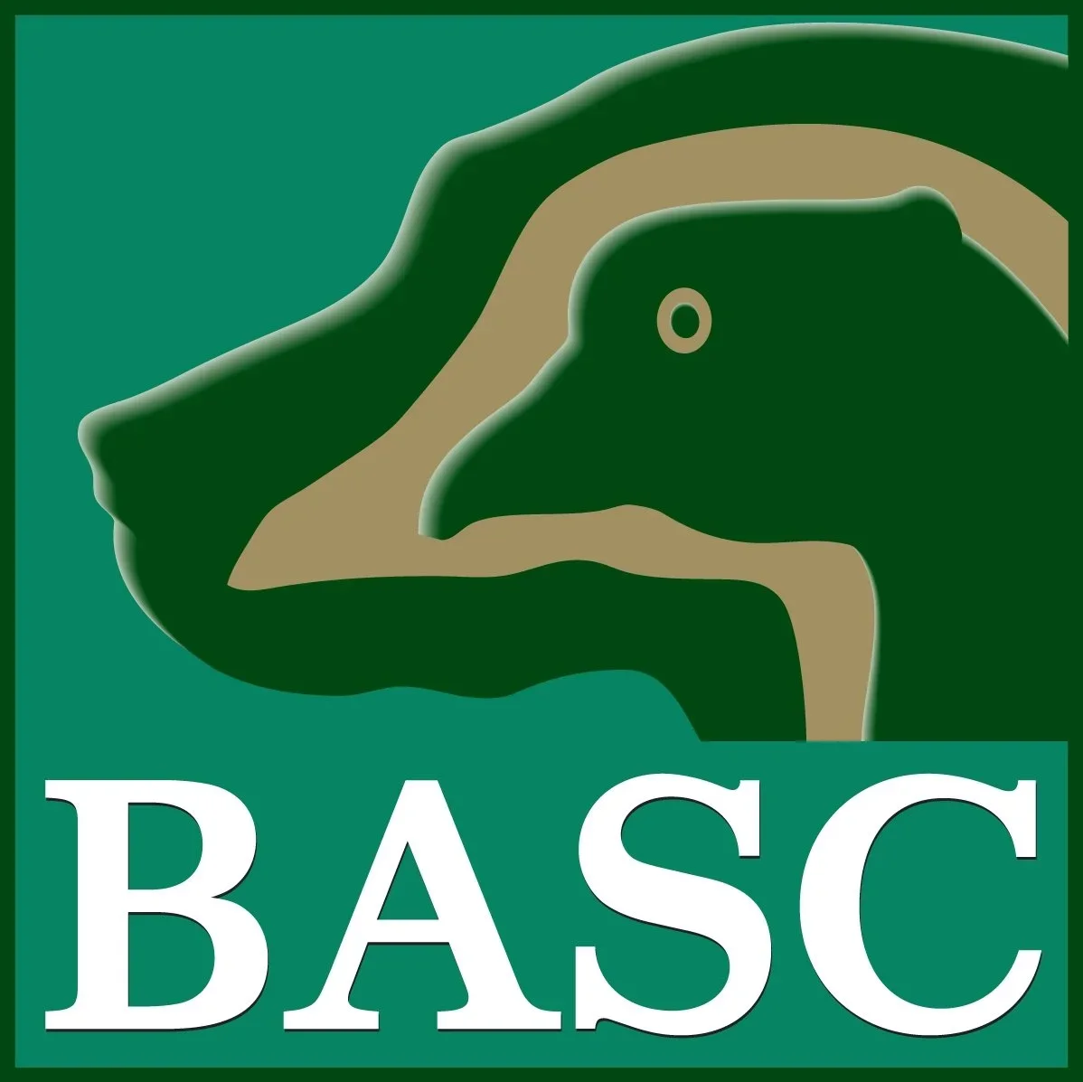 BASC - BRITISH ASSOCIATION FOR SHOOTING AND CONSERVATION BASC - BRITISH ASSOCIATION FOR SHOOTING AND CONSERVATION