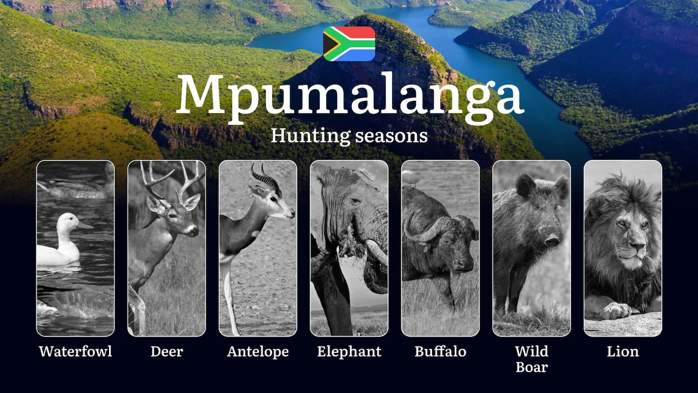 Hunting Periods in Mpumalanga, South Africa: Seasons, Permits, and Key Features of Hunting, Restrictions and Prohibition…