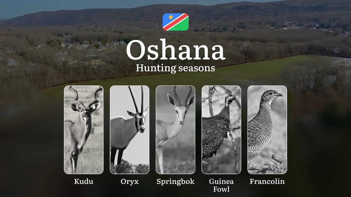 Seasonal Hunting Periods in Oshana, Namibia: Year-Round Species Access, Game Activity by Season, and Getting Legal Permi…