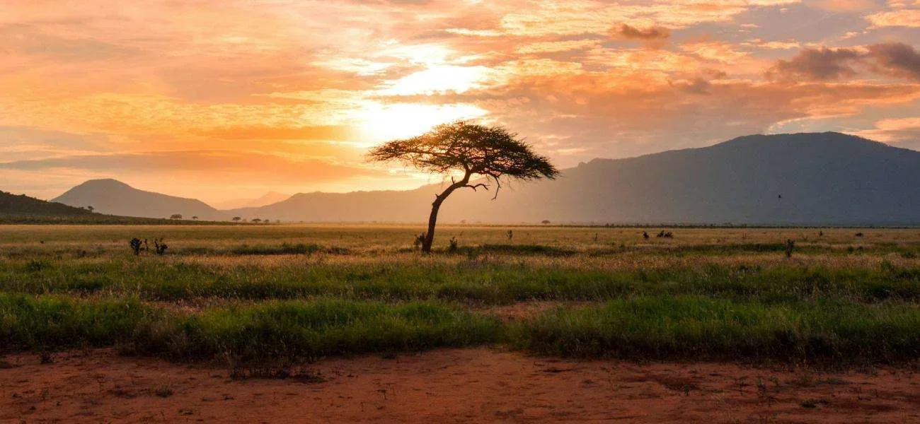 South Africa 2026: What will the upcoming hunting season be like?