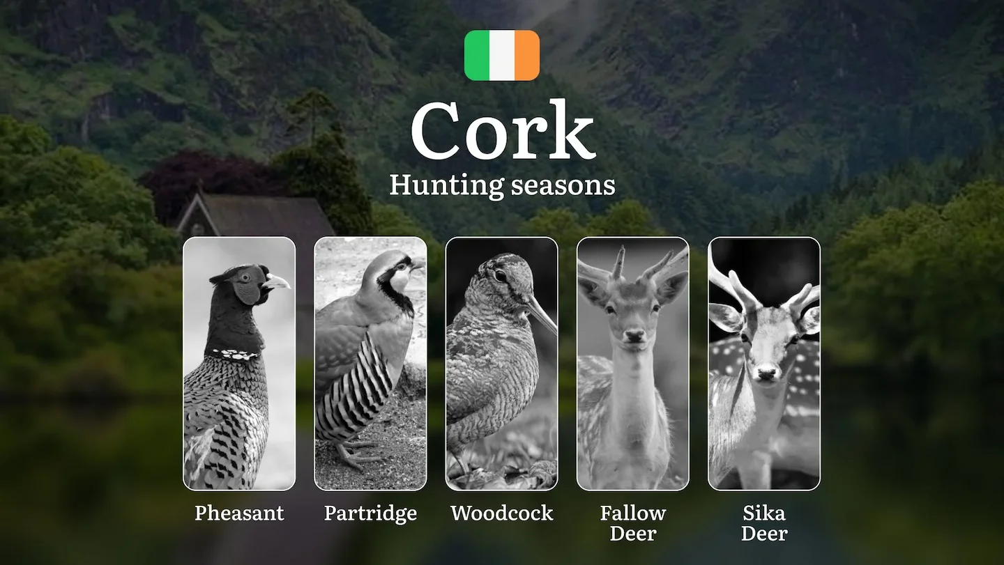 The Calendar of the Hunt: Exploring Seasonal Opportunities, Activities and Rules in County CORK