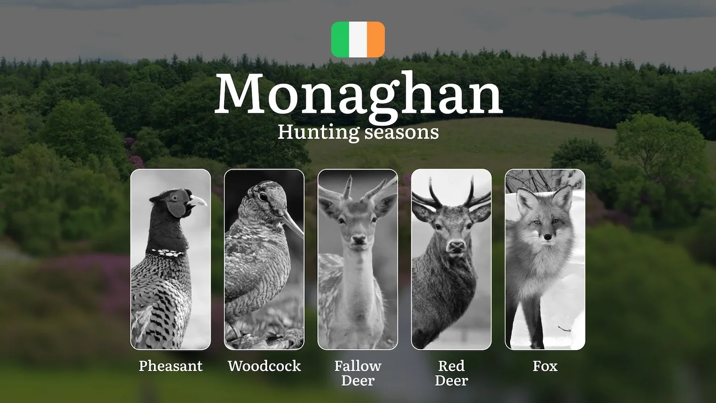 MONAGNAN'S Hunting Calendar: When the Emerald Fields Come Alive - Pheasant, Deer and Irish Game Pursuits