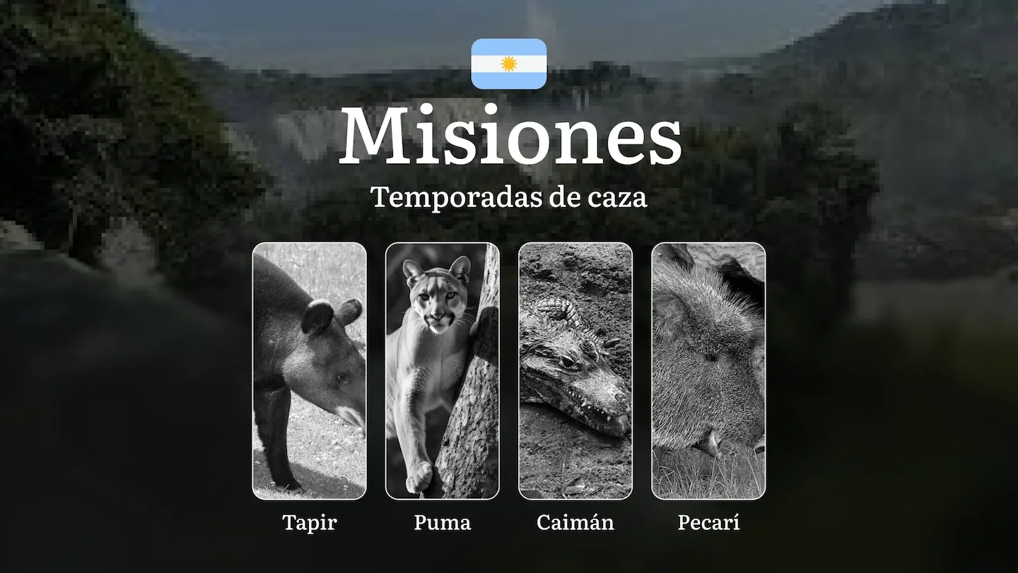 Misiones: fechas de caza, licencias, reglas y tácticas, particularidades estacionales de la caza, restricciones y especi…