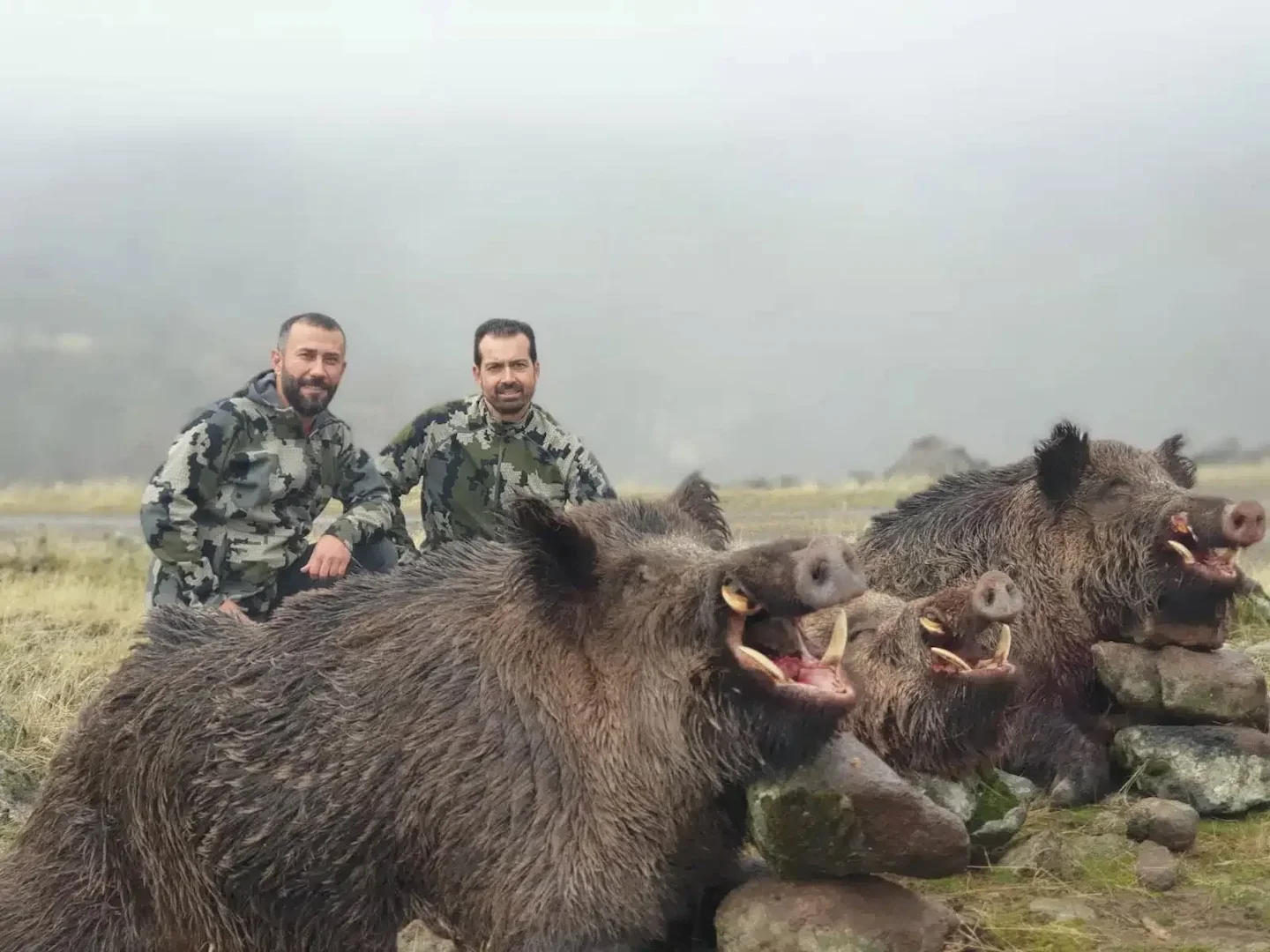 Jagd im Höfe (Kanton Schwyz), Schweiz: Demografie, Merkmale, Besonderheiten, Jagdstrategien, Wildarten, Jagdsaisons, Ver…