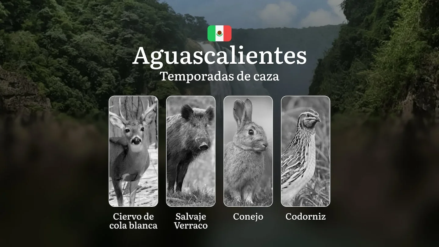 Temporadas y períodos de caza en Aguascalientes: Periodos Legales, Comportamiento de la Fauna y Requisitos para Cazadore…