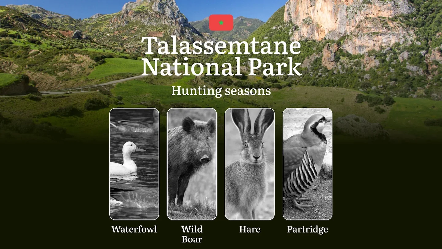 Talassemtane National Park: Hunting Seasons and Timing, Regulations and Licensing, Required Documents and Procedures, Ti…