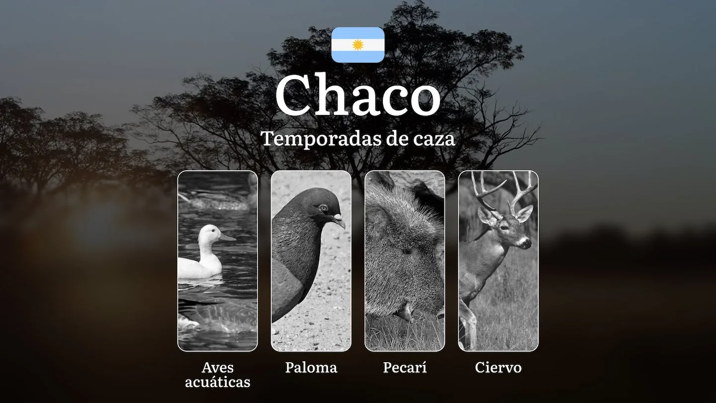 Chaco (Argentina): Temporadas de caza, Reglas y Mejores Épocas para la Caza, Cambios Históricos, Prohibiciones y Restric…