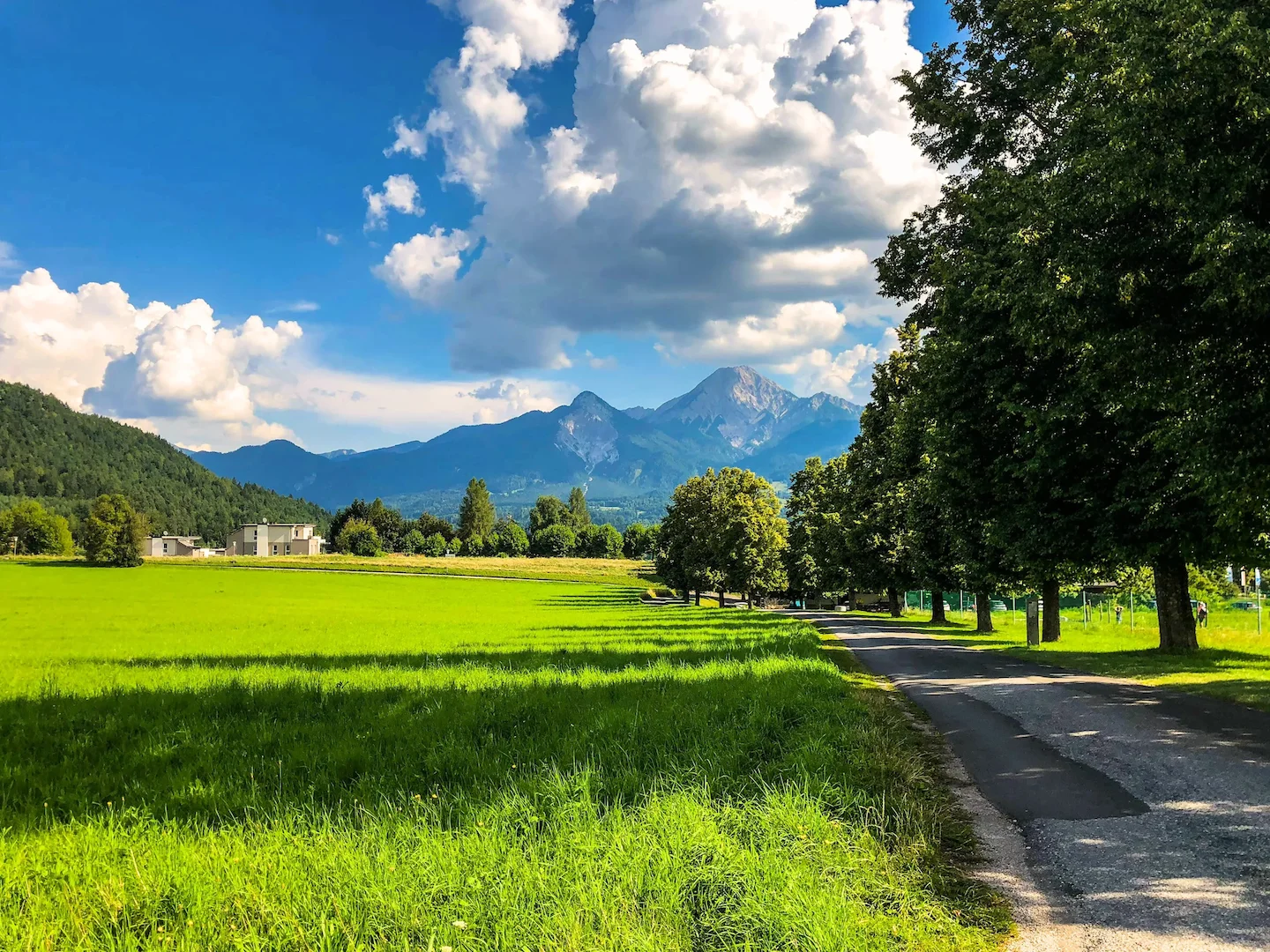 Charity Shooting 2026: Österreichische Wildtierstiftung lädt Jäger zum großen Event
